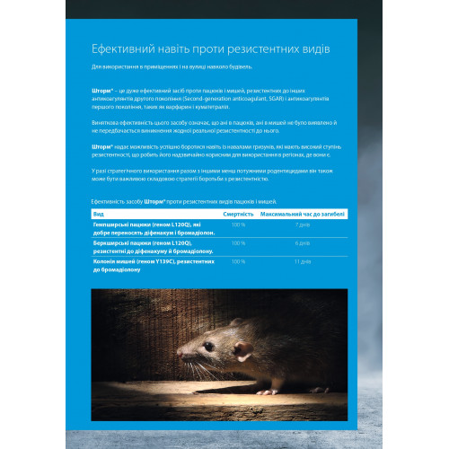 Storm BASF воскові брикети 1 кг