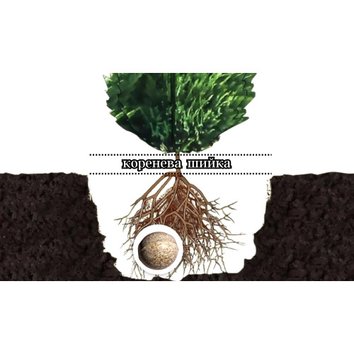 Ініціатор Інсектицид  - 4800 таб 12кг